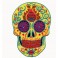 Coloful skull embroidered badge
