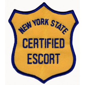 Iron on embroidered badges for government Iron on embroidered badges for government