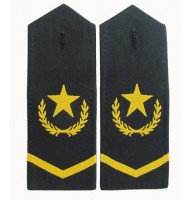 Military garment embroidered epaulets