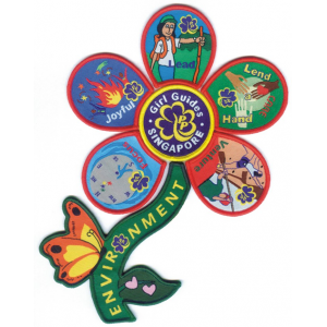 Girlguiding woven badges Girlguiding woven badges